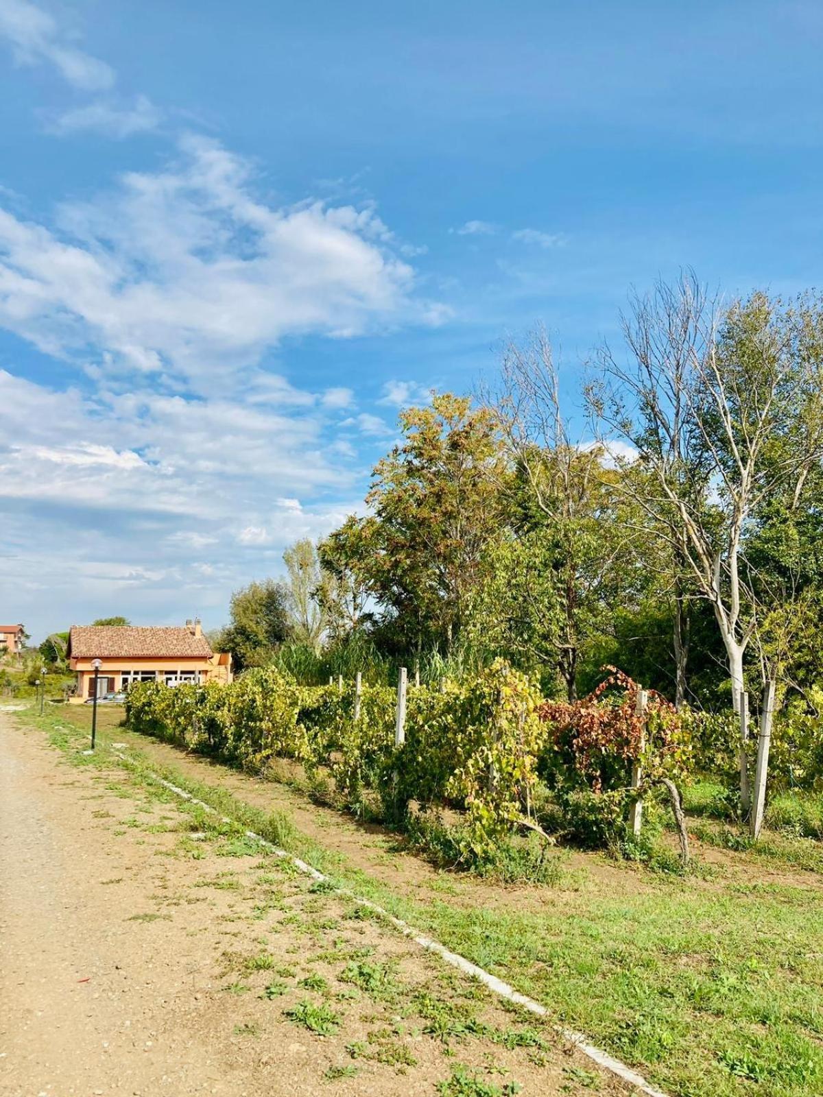 Villa Bubu, Appartamento Country-Chic Рим Екстер'єр фото