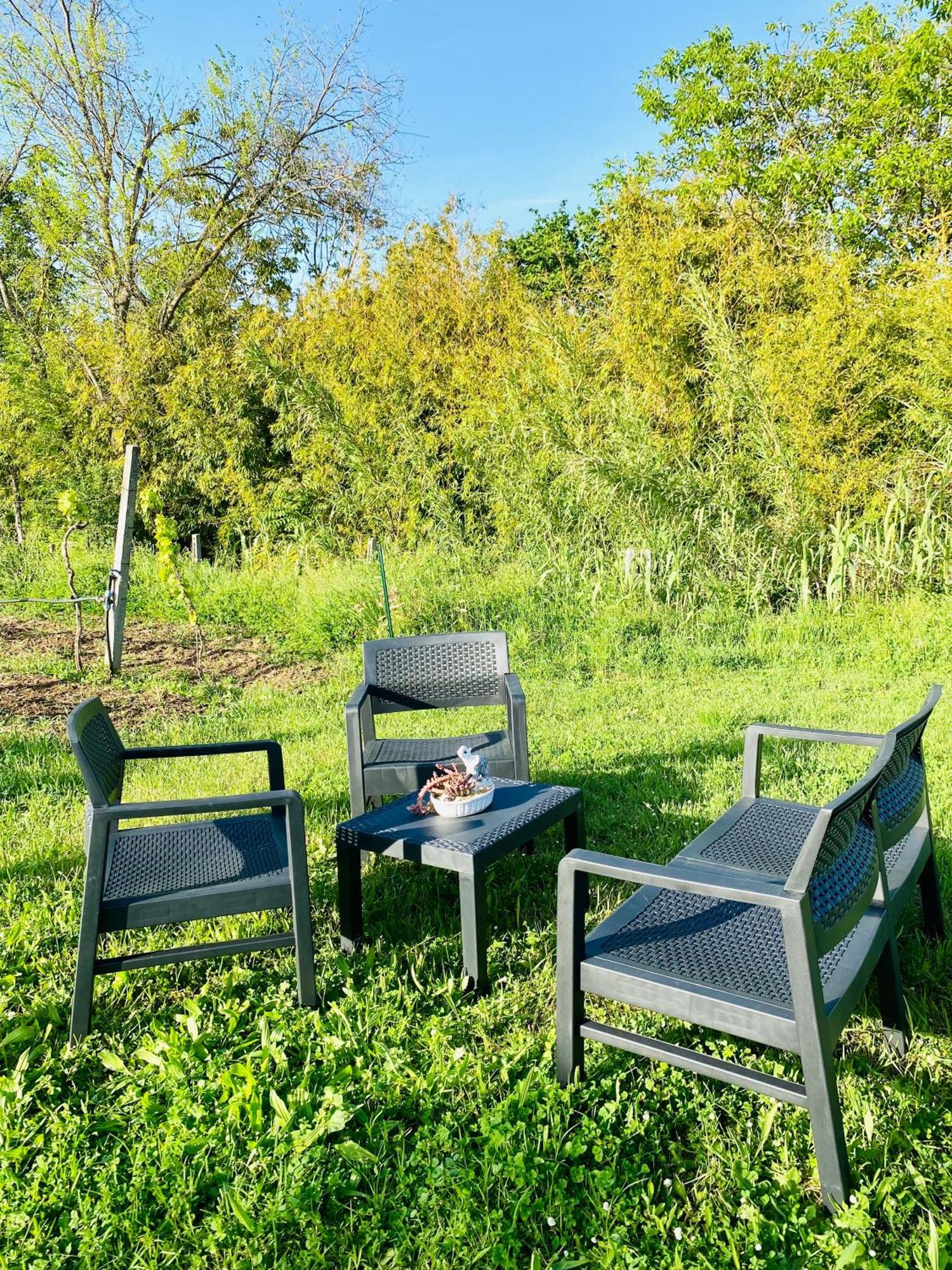 Villa Bubu, Appartamento Country-Chic Рим Екстер'єр фото