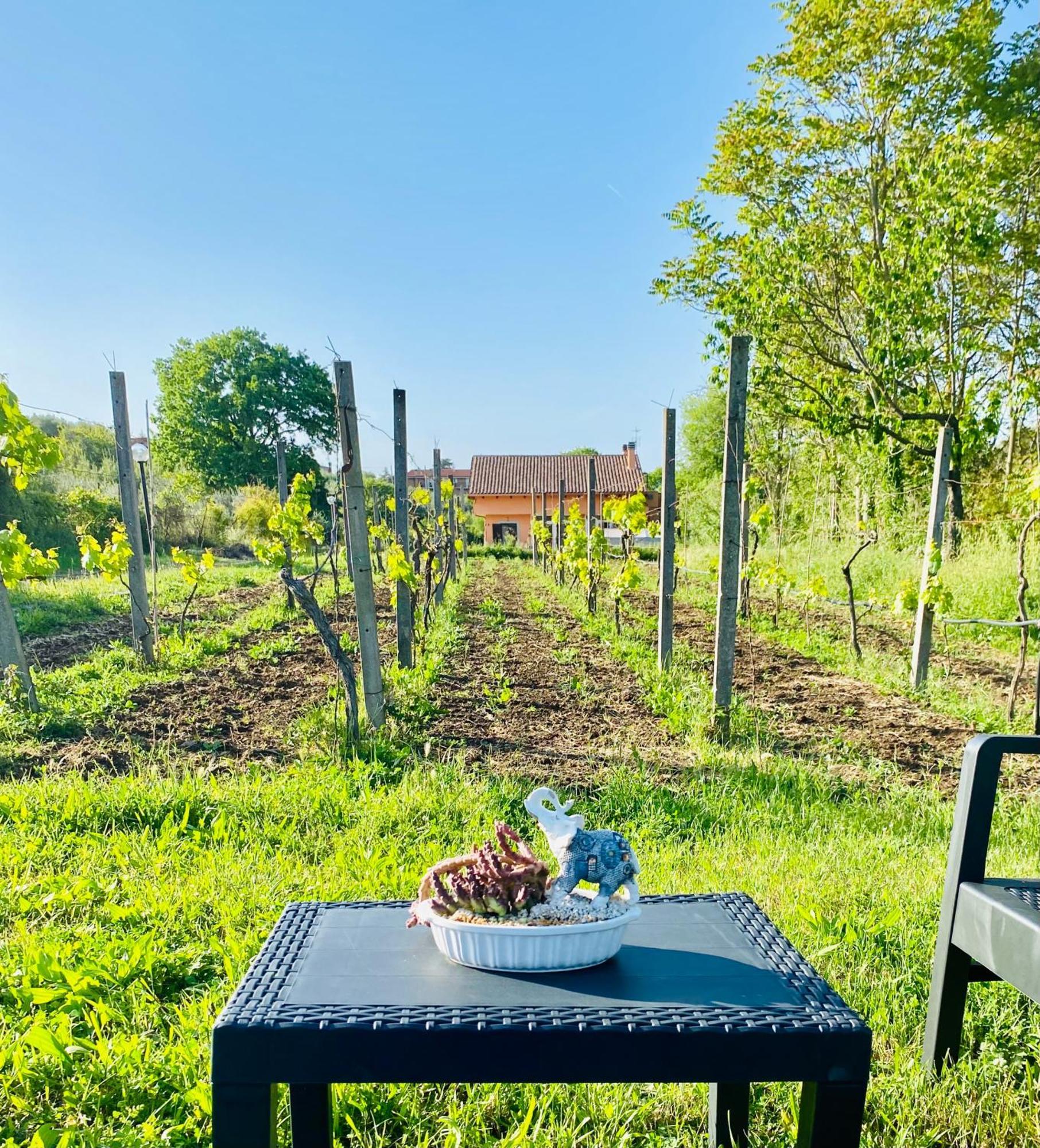 Villa Bubu, Appartamento Country-Chic Рим Екстер'єр фото