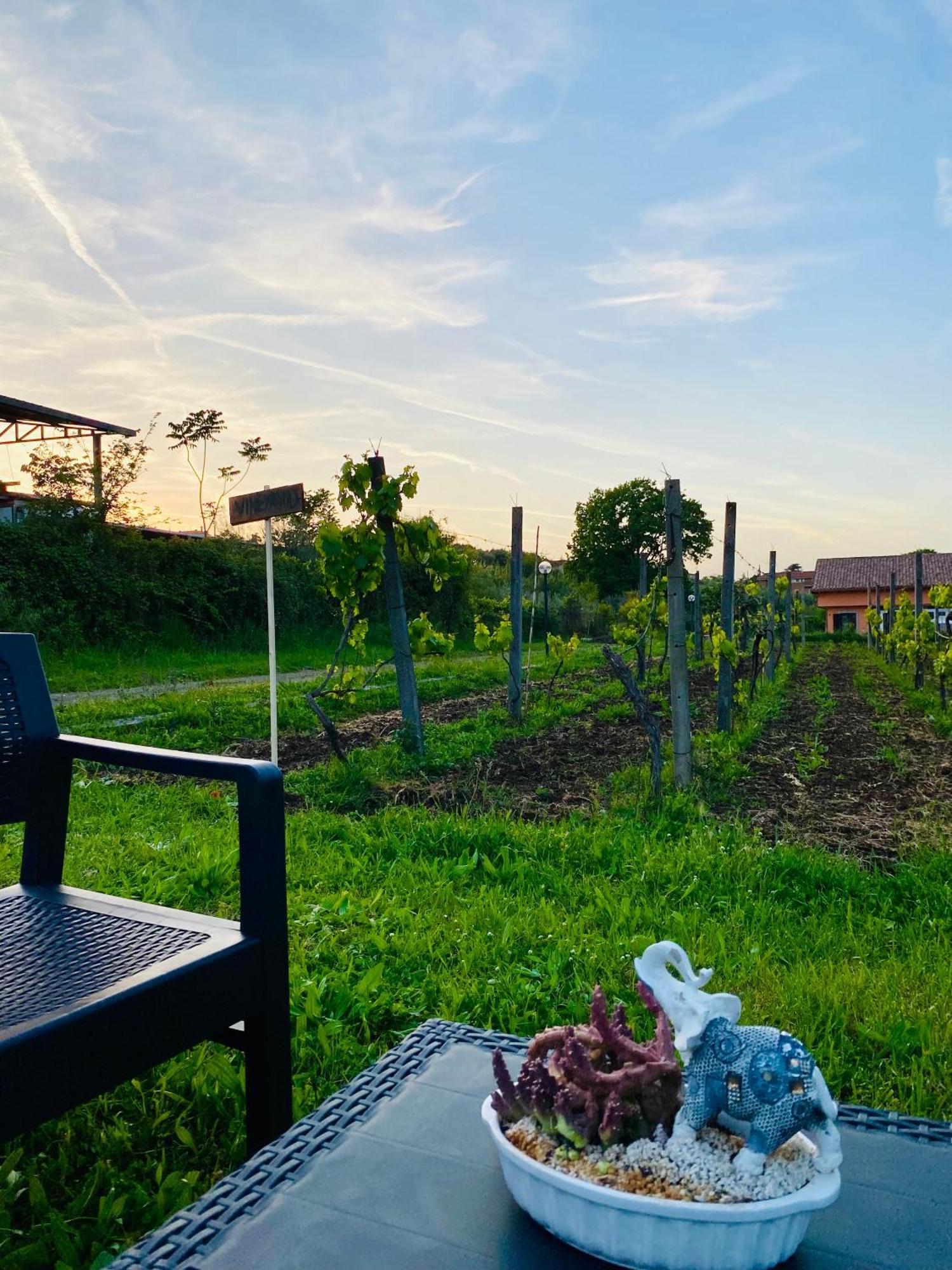 Villa Bubu, Appartamento Country-Chic Рим Екстер'єр фото